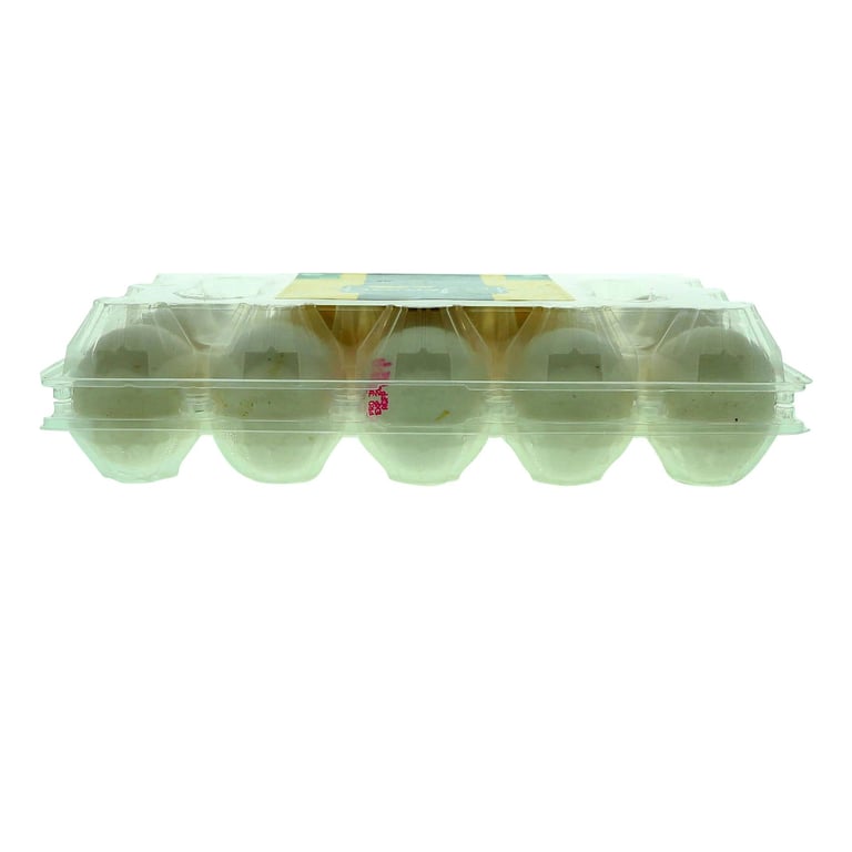 Jenan Large White Eggs 15 PCS