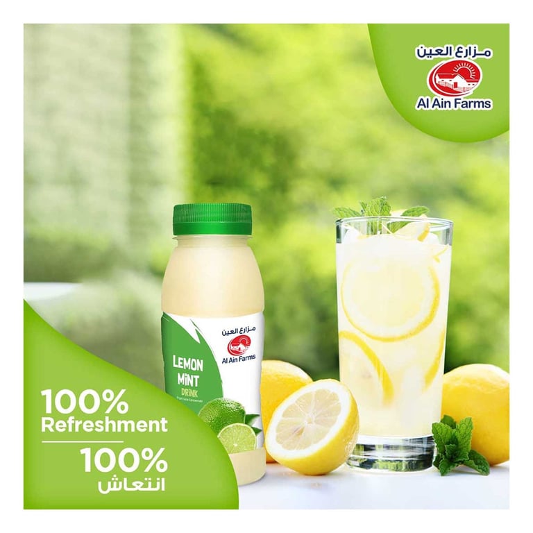 Al Ain Lemon Mint Juice 200ml