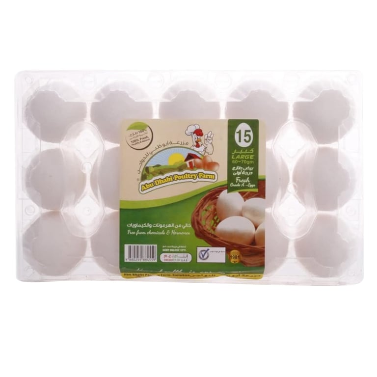 Abu Dhabi Large White Eggs 15 PCS