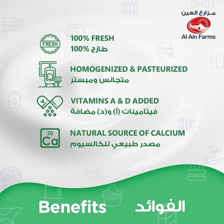 Al Ain Fresh Full Cream Yoghurt  100g Pack of 6